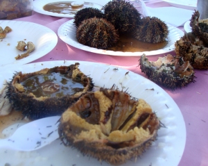 Sea Urchin, an exotic food that Ilocano loves to eat.